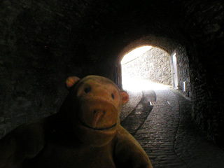 Mr Monkey in the North Gate tunnel