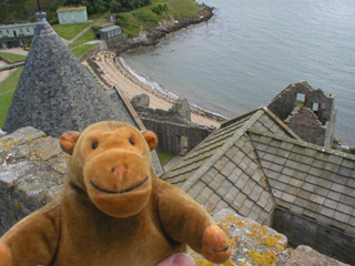Mr Monkey looking down on the roof of the dormitory