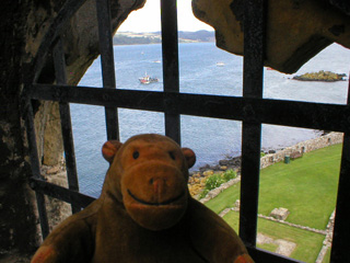Mr Monkey looking west from the arch
