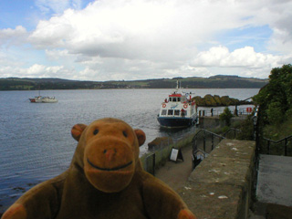 Mr Monkey watching the ferry dock at the quay