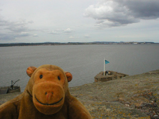 Mr Monkey trying to see the pier and the North Tower