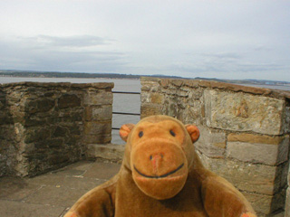 Mr Monkey on top of the North Tower