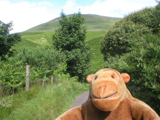 Mr Monkey walking along a narrow lane in the hills