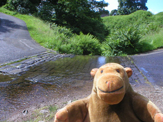 Mr Monkey crossing a ford