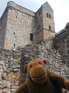 Mr Monkey looking up at the tower from the courtyard