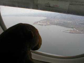 Mr Monkey looking down on the banks of the Forth