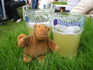 Mr Monkey with two glasses of Hoegaarden white beer on a grassy table