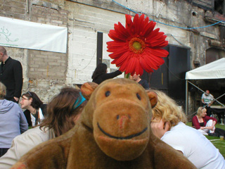Mr Monkey beneath the bright red flower at his table