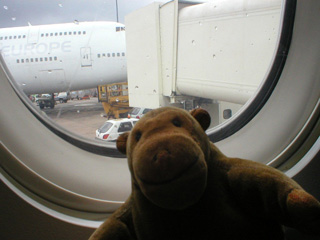 Mr Monkey looking out of the plane at Manchster