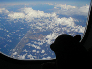 Mr Monkey looking down on Denmark