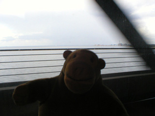 Mr Monkey looking out of the window on the way to Malmo