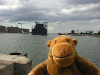 Mr Monkey watching a ship leave Malmo harbour
