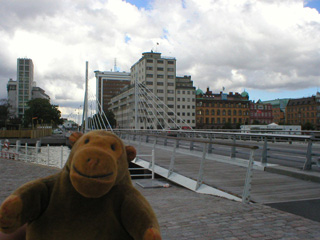 Mr Monkey looking at the swing bridge