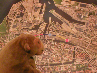 Mr Monkey looking at a map of Malmo