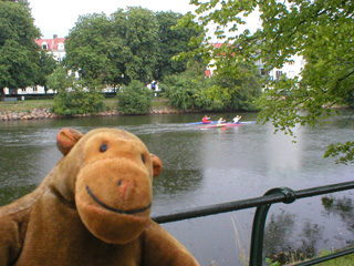 Mr Monkey watching canoes on the canal
