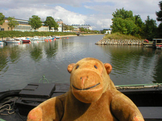 Mr Monkey looking at the canal