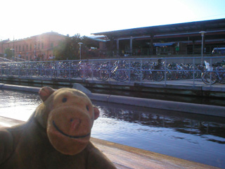 Mr Monkey beside a floating bicycle park