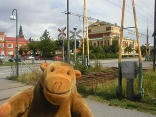 Mr Monkey looking across a railway crossing