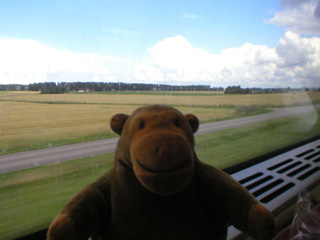 Mr Monkey looking at some more fields