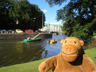 Mr Monkey watching motorboats on the canal
