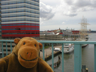 Mr Monkey looking down on Lilla Bommen Hamn