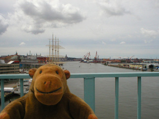 Mr Monkey looking along the Gö river