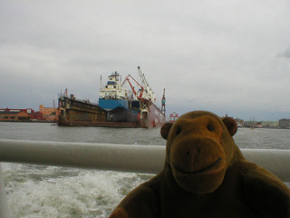 Mr Monkey looking at ships under repair in a floating dock