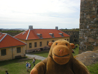 Mr Monkey looking down at the courtyard from the wall beside the tower