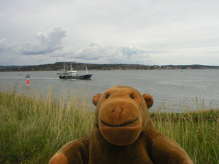 Mr Monkey watching a small trawler pass the fortress