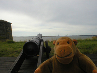Mr Monkey examining a cannon