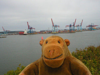Mr Monkey looking rows of yachts in a marina