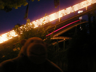 Mr Monkey watching Lisebergbanan roller coaster ride speed past