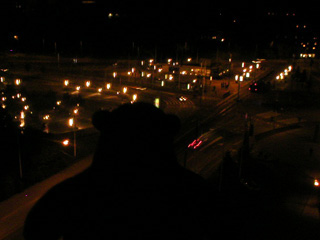 Mr Monkey looking down on Korsvagen from his hotel room