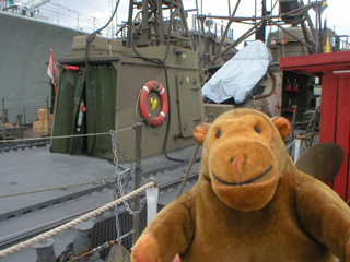 Mr Monkey looking at the patrol Hugin