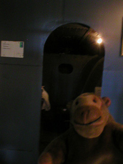 Mr Monkey inside the monitor Sölve