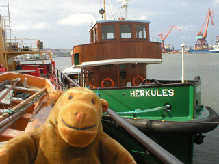 Mr Monkey looking at the Herkules tug