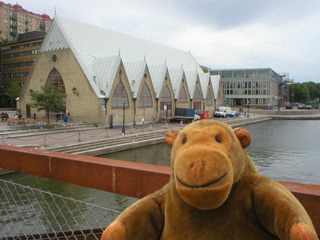 Mr Monkey looking at the Feskekörka from a carpark over the canal