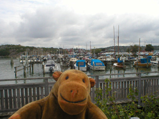 Mr Monkey looking at a marina at Saltholmen