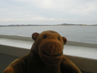 Mr Monkey looking at the sea, with distant land
