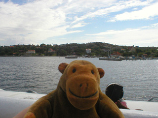 Mr Monkey looking at an island from the ferry