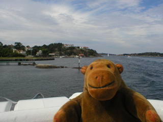 Mr Monkey looking at another island from the ferry