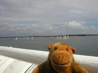 Mr Monkey watching a small fleet of sailboats