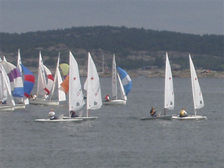 A flock of small sailboats