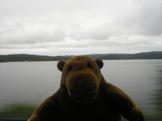 Mr Monkey passing a Swedish lake