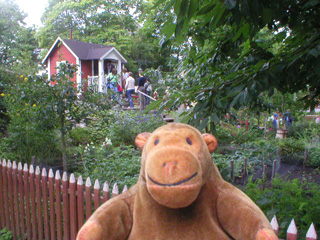 Mr Monkey looking at a small hut in an allotment