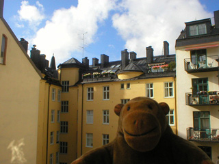 Mr Monkey looking from Ms Katarina's balcony