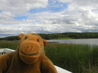 Mr Monkey on the jetty by the lake