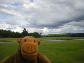 Mr Monkey looking at forests and clouds at Steninge