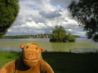 Mr Monkey on the grass beside Lake Mälaren