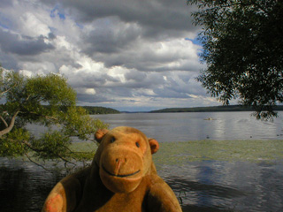Mr Monkey on the edge of Lake Mälaren